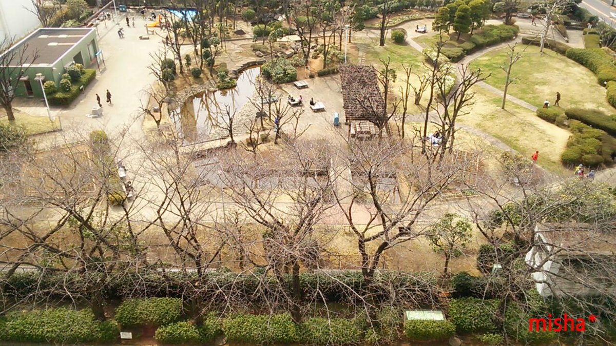 colore224422's tweet photo. うちの アリスを着たお嬢ちゃま
日光浴中 ◌｡˚✩. ゜*。:゜
このような景色をみておりますℓσνє♡ https://t.co/kv7cTTmAdL