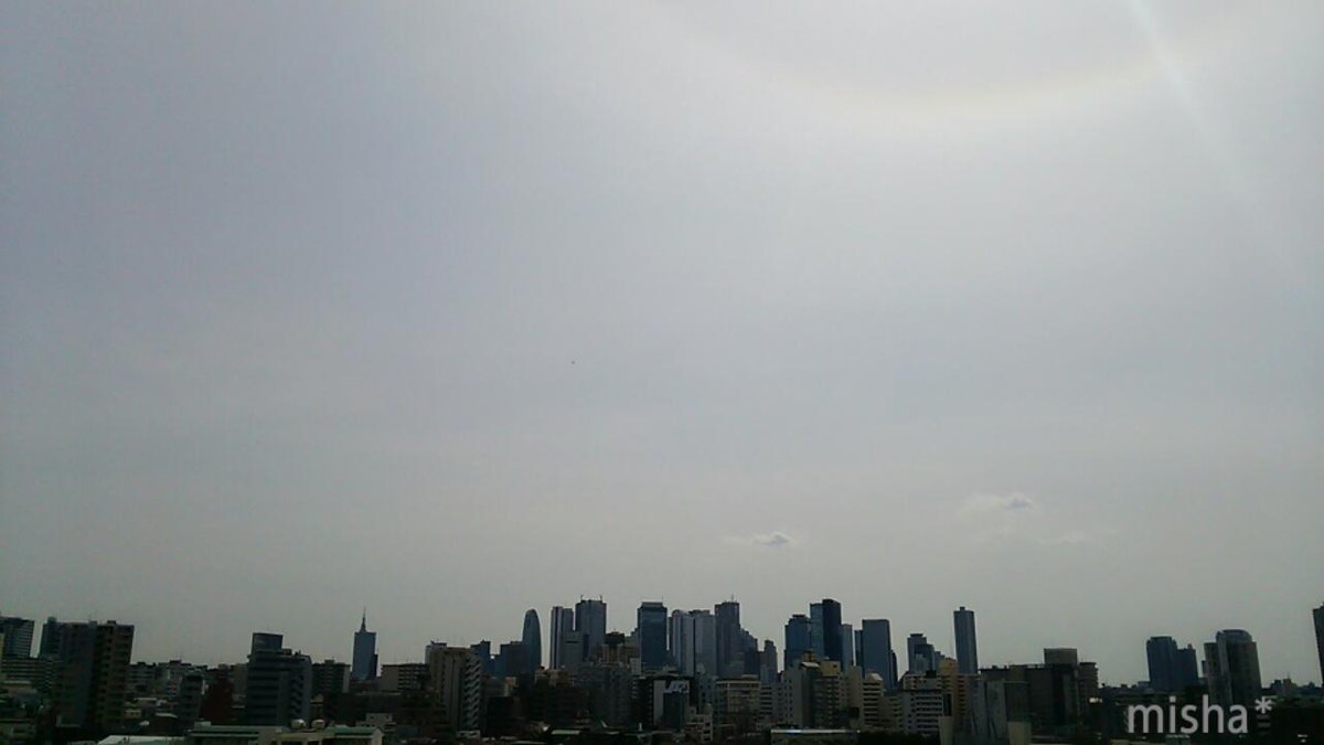 colore224422's tweet photo. うちの アリスを着たお嬢ちゃま
日光浴中 ◌｡˚✩. ゜*。:゜
このような景色をみておりますℓσνє♡ https://t.co/kv7cTTmAdL