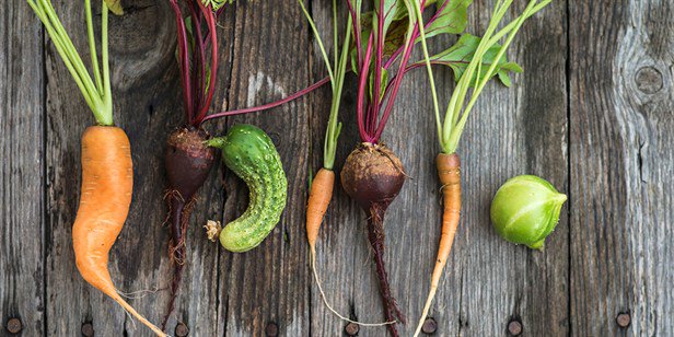 LifeStyle FOOD tweet media