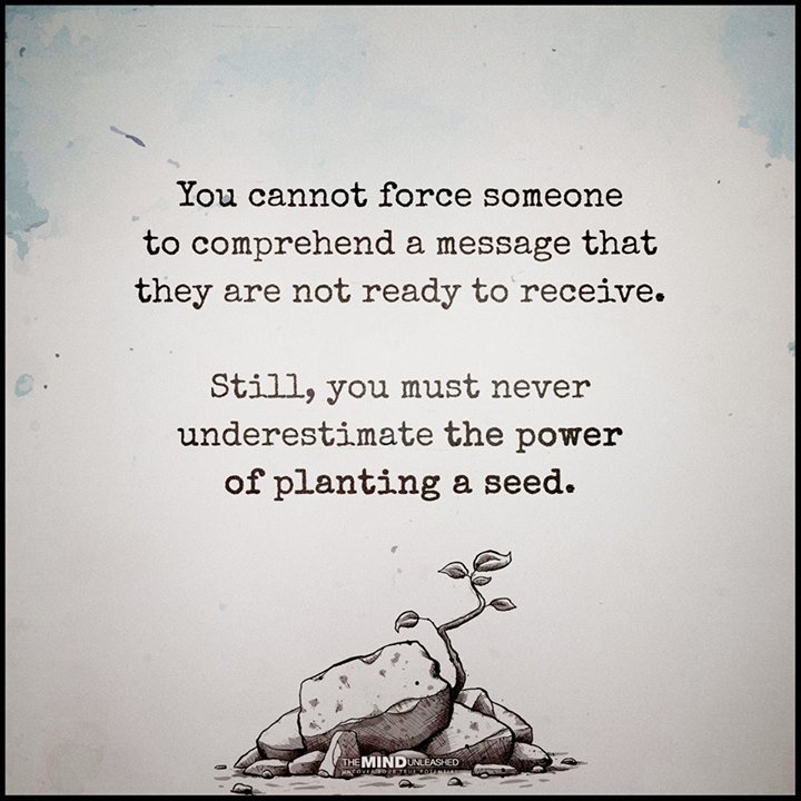 Isheeria1's tweet photo. #isheeria #chewthis we are #gardening today.. #planting & watering & generally enjoying #nature in our little #green patch #happy #saturday https://t.co/8HDgqCt8iD