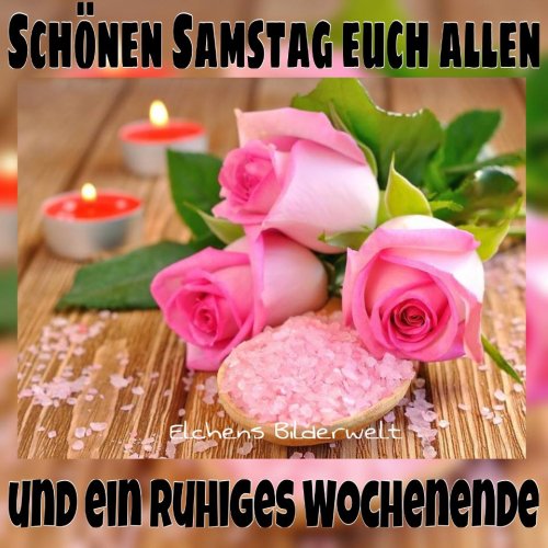 Mischa (@dino20171) on Twitter photo 