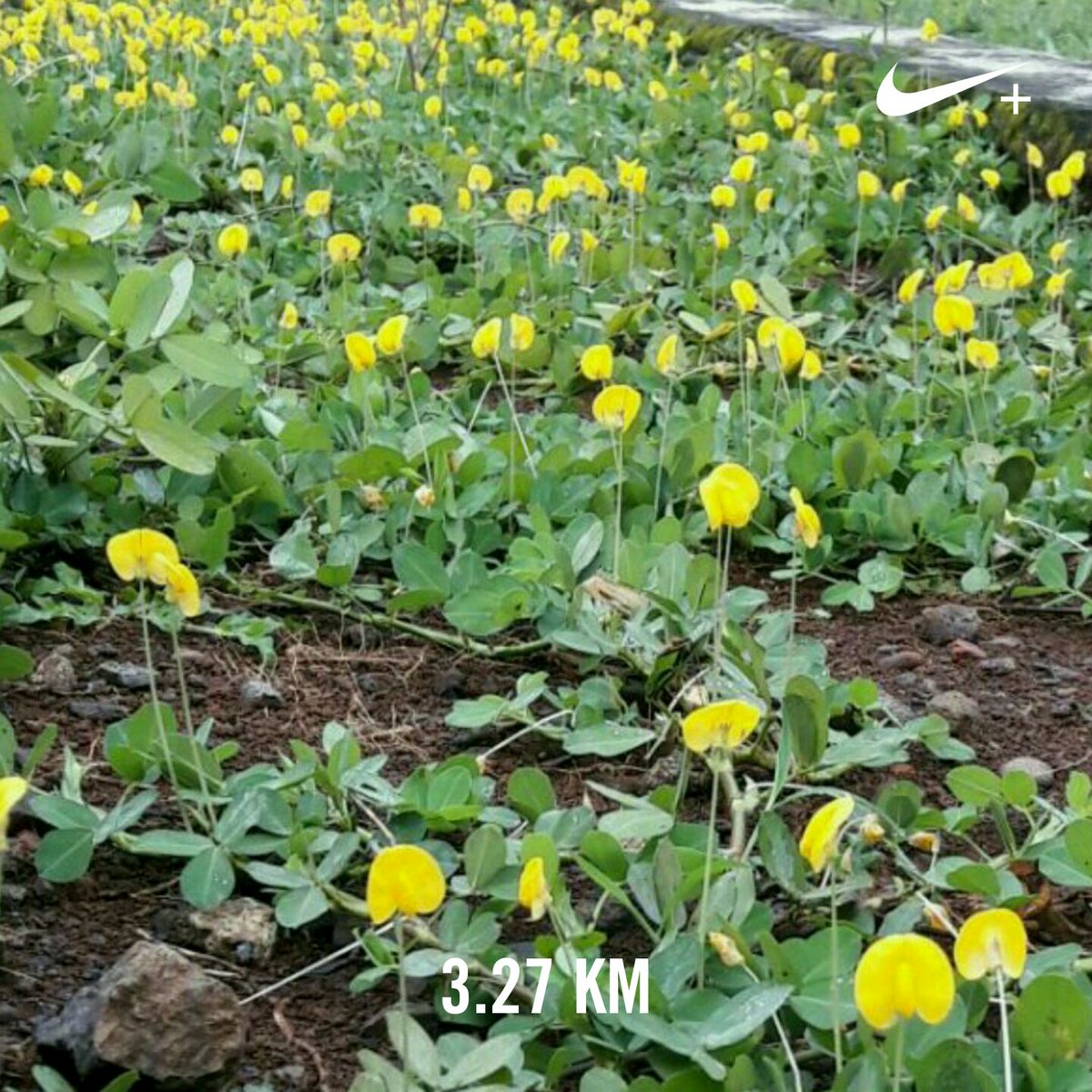 Ran 3.27 km with Nike⁠+ Run Club