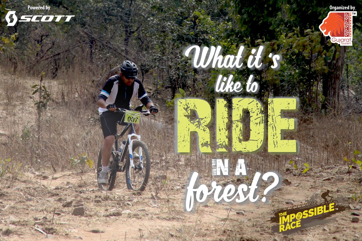 TIRPoloforest's tweet photo. Expect twists, surprises &amp; setbacks in a forest where everything is possible &amp; anyone can win.
#TrailLove #TheImpossibleRace #WheelTheWild https://t.co/RQMSfQKISE