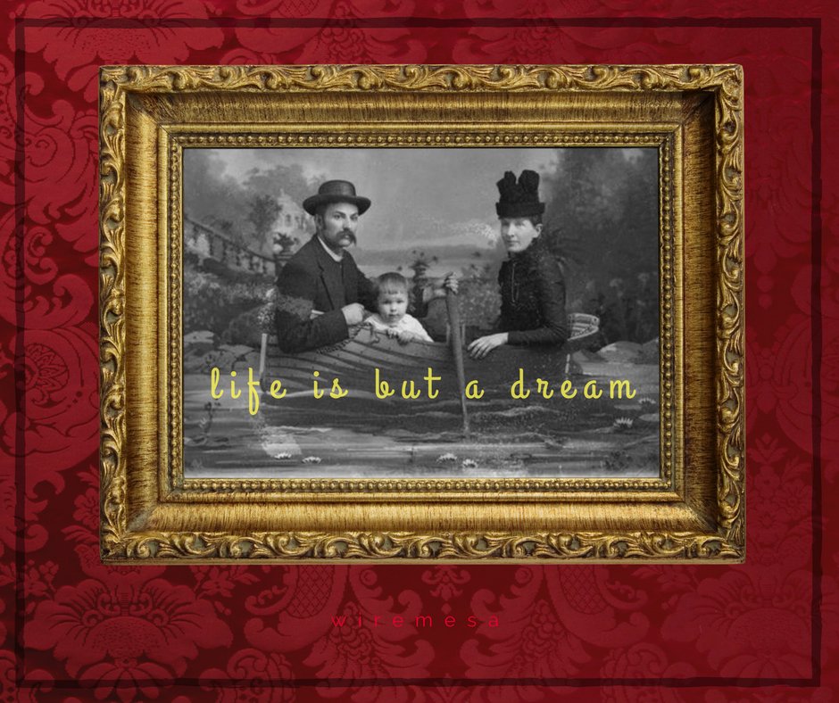 WiremesaDesign's tweet image. 