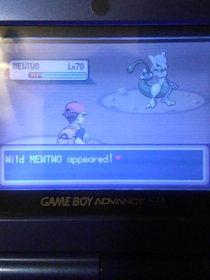 average.pokefan tweet media