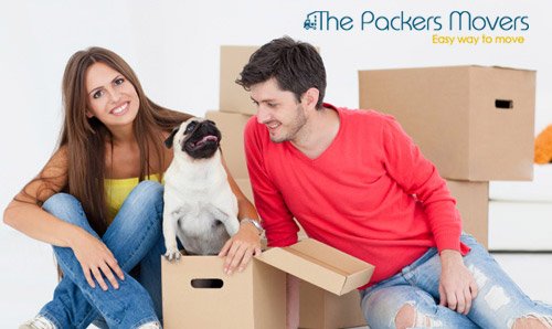 thepackermover's tweet image. Easy-to-Follow Pet Moving Tips!! Read more - goo.gl/1Jpel5
#Thepackersmovers #Lucknowpackersmovers #Petmovingtips