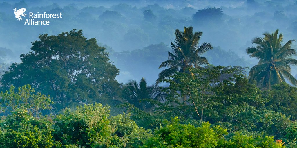 2016 was the hottest year on record. Before that, it was 2015. Worried about #cliamtechange? Do something about it: bit.ly/RA_Climate_Ple…