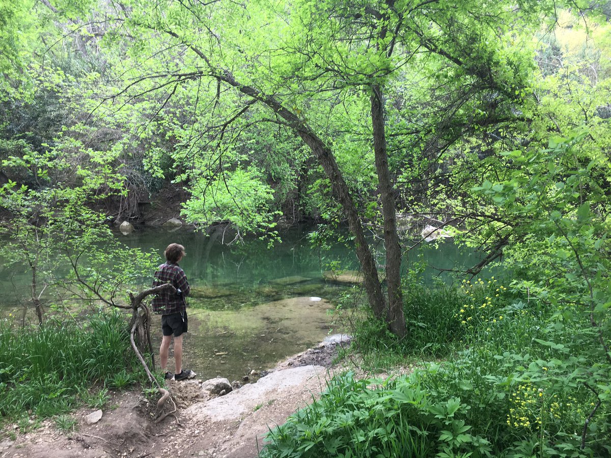 brisickles's tweet photo. Siiiiiiiiiqqqqqq park we explored this morning🍃✨ https://t.co/tzHoEpkjuj
