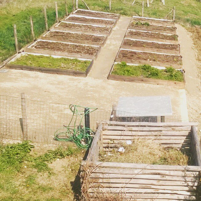 AM Casali: #orto #facile #natura +39 0382 766003 info@amcasali.it