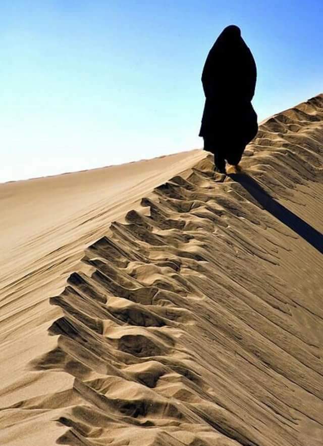 z_h1955's tweet photo. وهب لي يا إلهي منك عونا"يساندني إذا صعب المسير https://t.co/8uyepykCpN