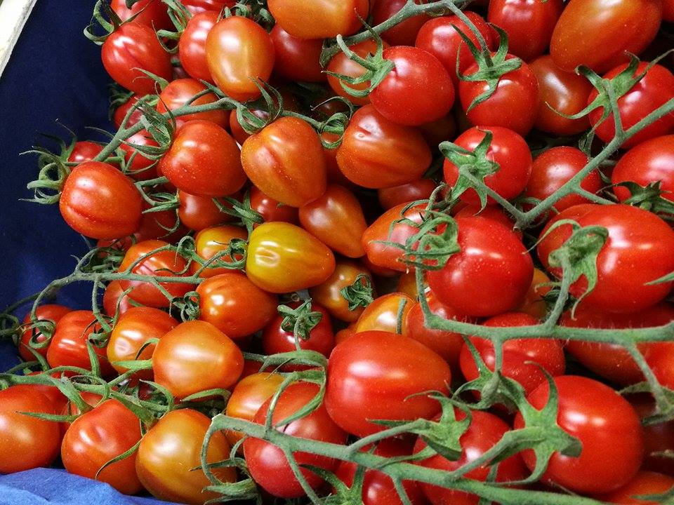 le jardin de France (@FranceJardin) | Twitter