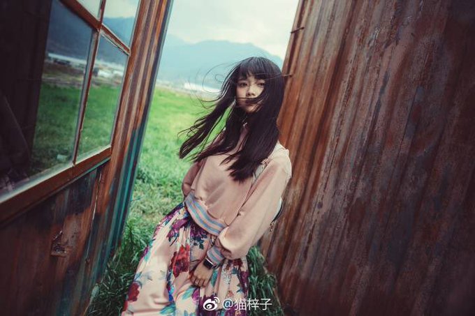 Popular tweets of 猫梓子- 5 - whotwi graphical Twitter analysis