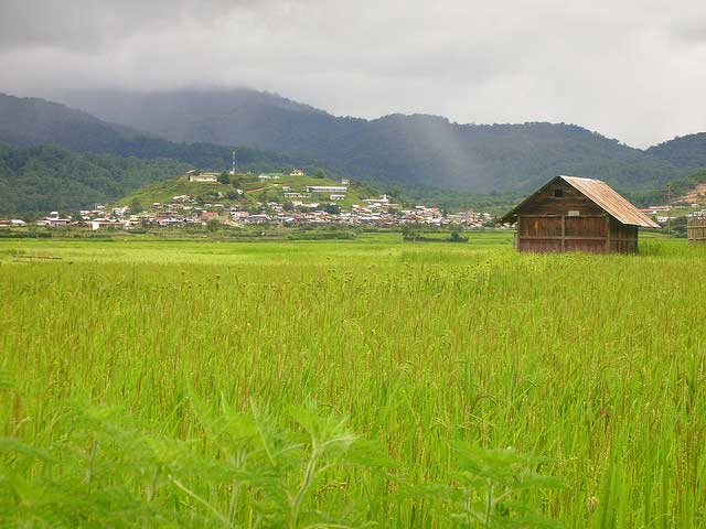 India_P_Tours's tweet photo. #Ziro is one of the most picturesque hill towns in #Arunachal #Pradesh. The best part of #Ziro 

Contact : +91-9711929163 ( Muzamil ) https://t.co/Ktp4TLffxJ
