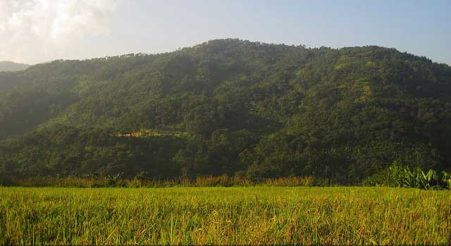 India_P_Tours's tweet photo. The name ‘#Haflong’ translates to ant hill, and is located in the Indian state of #Assam

Contact : +91-9711929163 (Muzamil) https://t.co/1BAy9B8744
