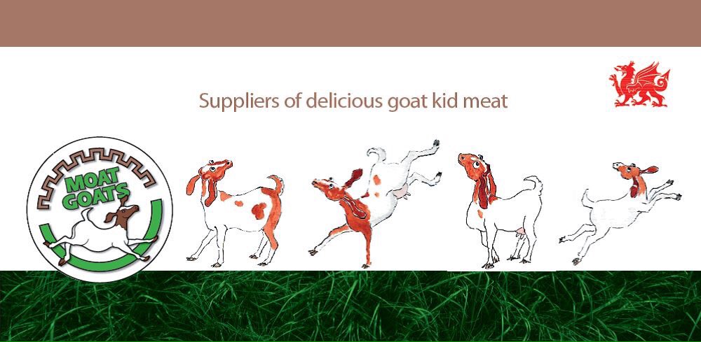 MoatGoats's tweet photo. Love our new design work #newtotwitter https://t.co/MHPEBzTmgF