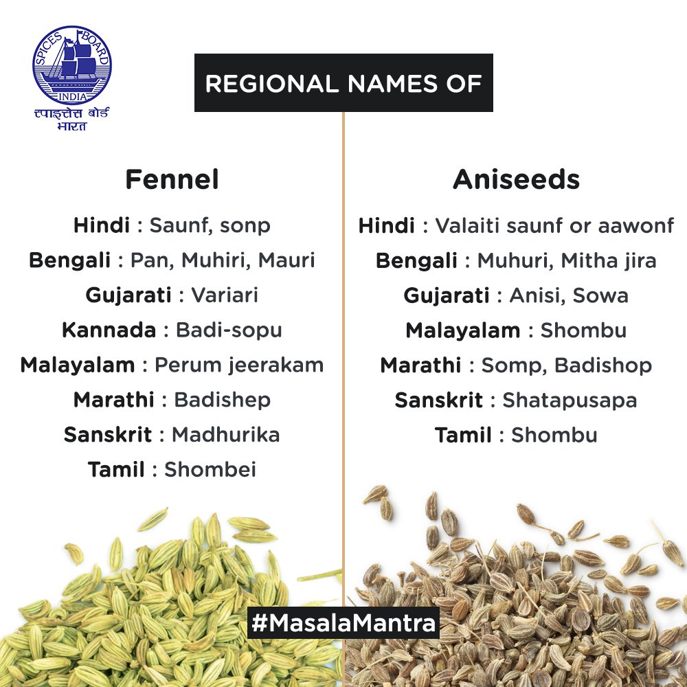 SPICES BOARD on Twitter "What are Fennel & Aniseeds called in your region? Tweet us using 