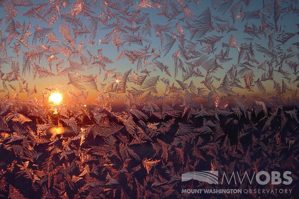 MWObs's tweet photo. This morning dawned cloudless, but that didn't stop ice crystals on an east-facing window … https://t.co/K9tAHTeFRn https://t.co/f9BReO1bjz
