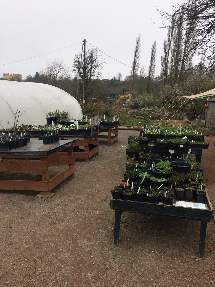 Saralimback's tweet photo. Did you know @avonwt @feedbristol have a plant sales area?!
You do now!!
Open every Saturday!
#smmasterclass https://t.co/xviSQaA3d3