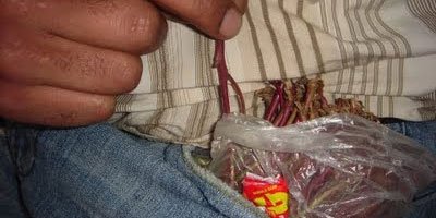 Limorio_'s tweet photo. #DobaFest starter pack https://t.co/hhZM8ZsV7l