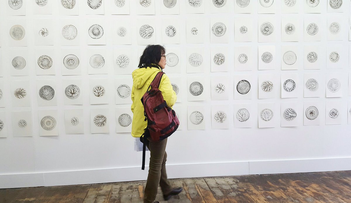 RyeCreativeCtr's tweet photo. LAST CHANCE TO SEE
#GroundMatter @RyeCreativeCtr 
12-4pm Sat 18 March
Animal ash prints
Earth pigment drawings
Glass sculpture
Installation https://t.co/y8juFWPbi9