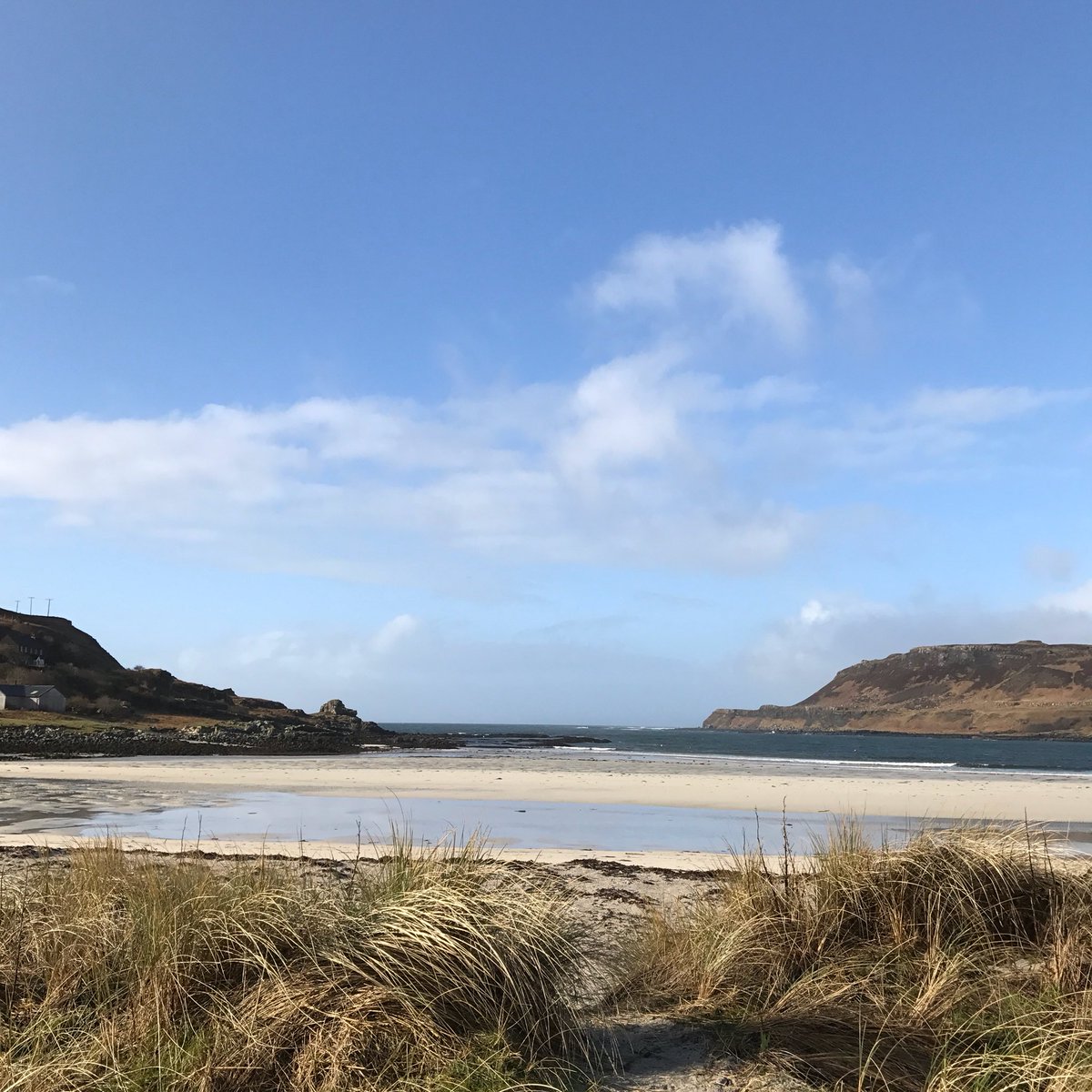Please follow Friends of Calgary Bay here on Twitter &amp; look out for us on Facebook. #machair #beach #IsleofMull #Mull #sssi