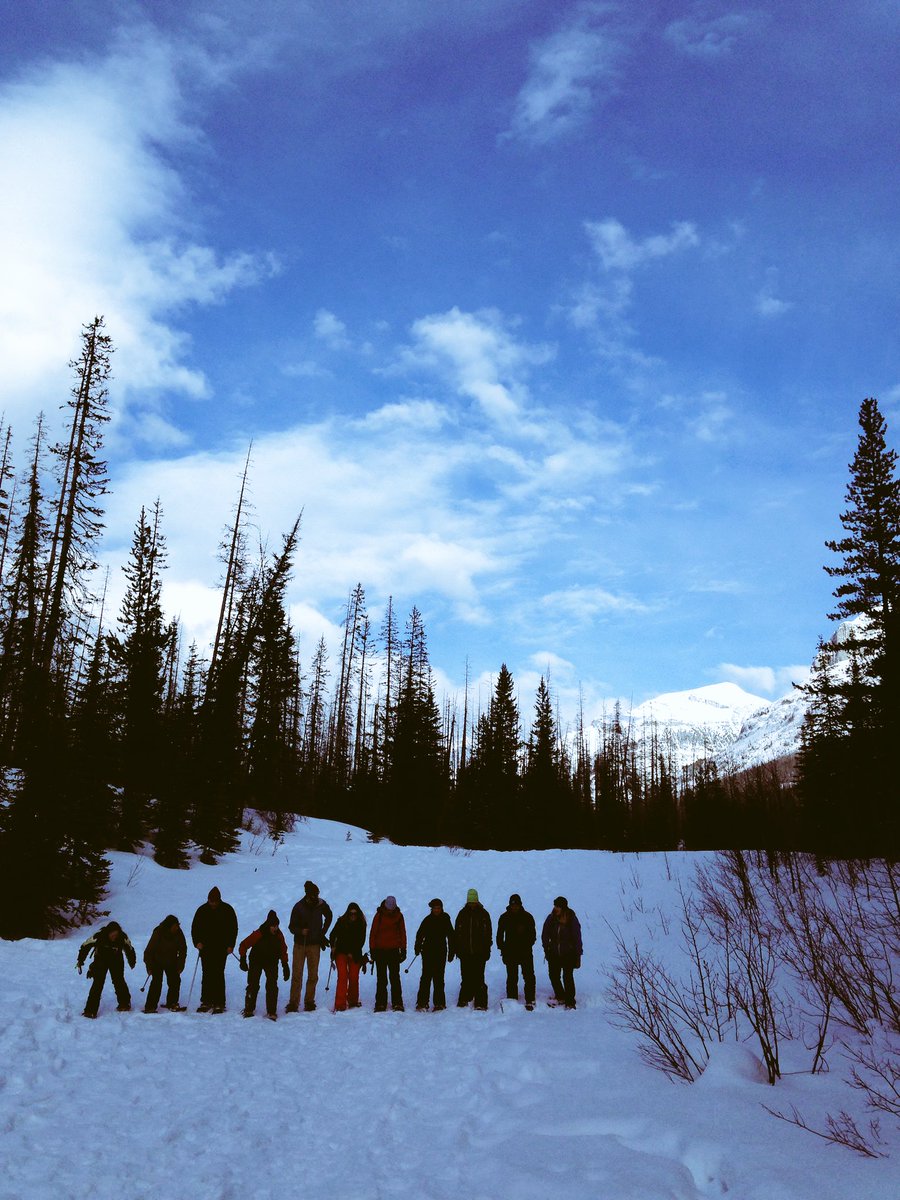 emmasssson's tweet photo. Lined up for #snowshoe racing #marblecanyon #throwback #alberta #canada https://t.co/XNAFoZEkur