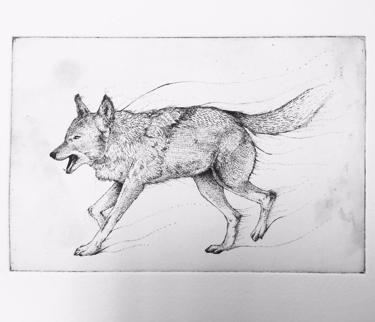 原画 オオカミ #108 JR キハ183系特急ディーゼルカー(おおぞら・HET色)セット｜製品情報