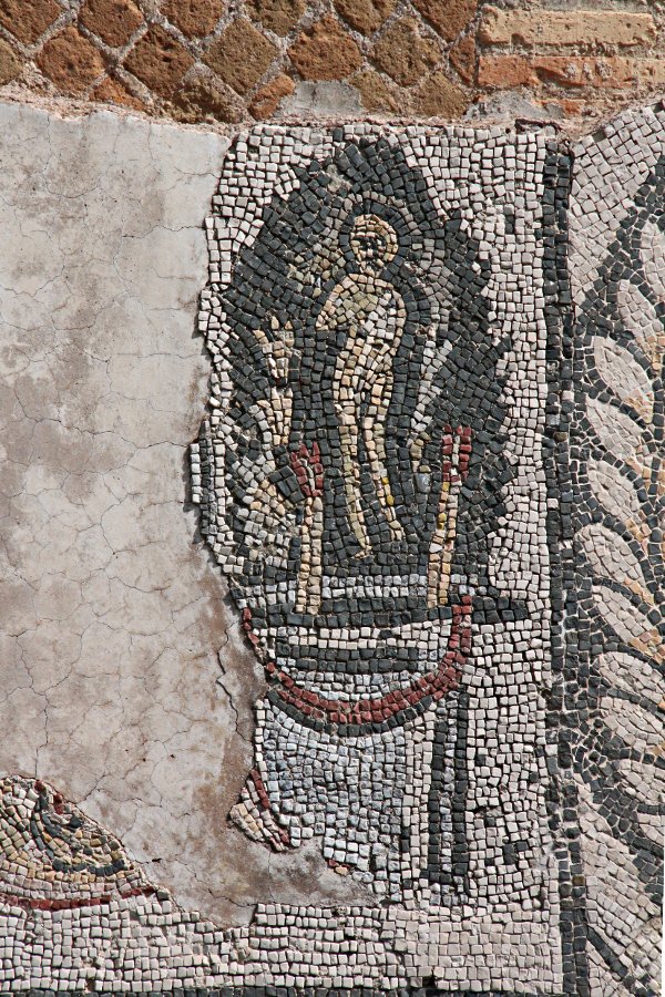 #Ostia antica, part. di un mosaico proveniente dalla Domus del Perseo, oggi fissato a un muro nel cortile della Casa di Bacco Fanciullo.