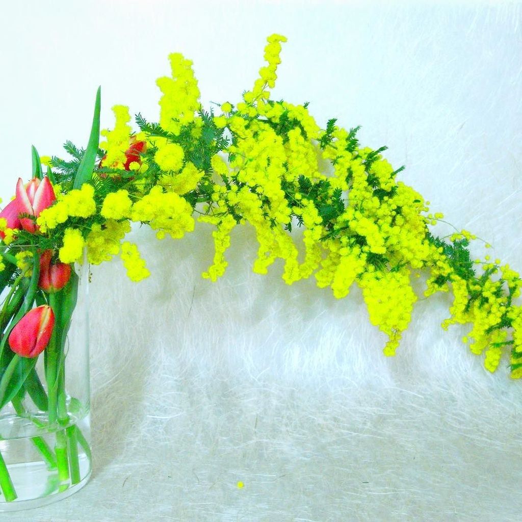 KubaTaiju's tweet photo. 以前、春ごろに挿しました。
A spring work for practice.
#flowerart #flowers #flowerarrangement #flowerad… https://t.co/ywQxYmwOn9 https://t.co/RwUPjwLfZc