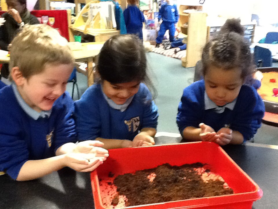 StThomasRC's tweet photo. Ladybirds class have been looking after worms and finding out where they sleep and what they like to eat. They also enjoyed holding them! https://t.co/YMYeANmoti