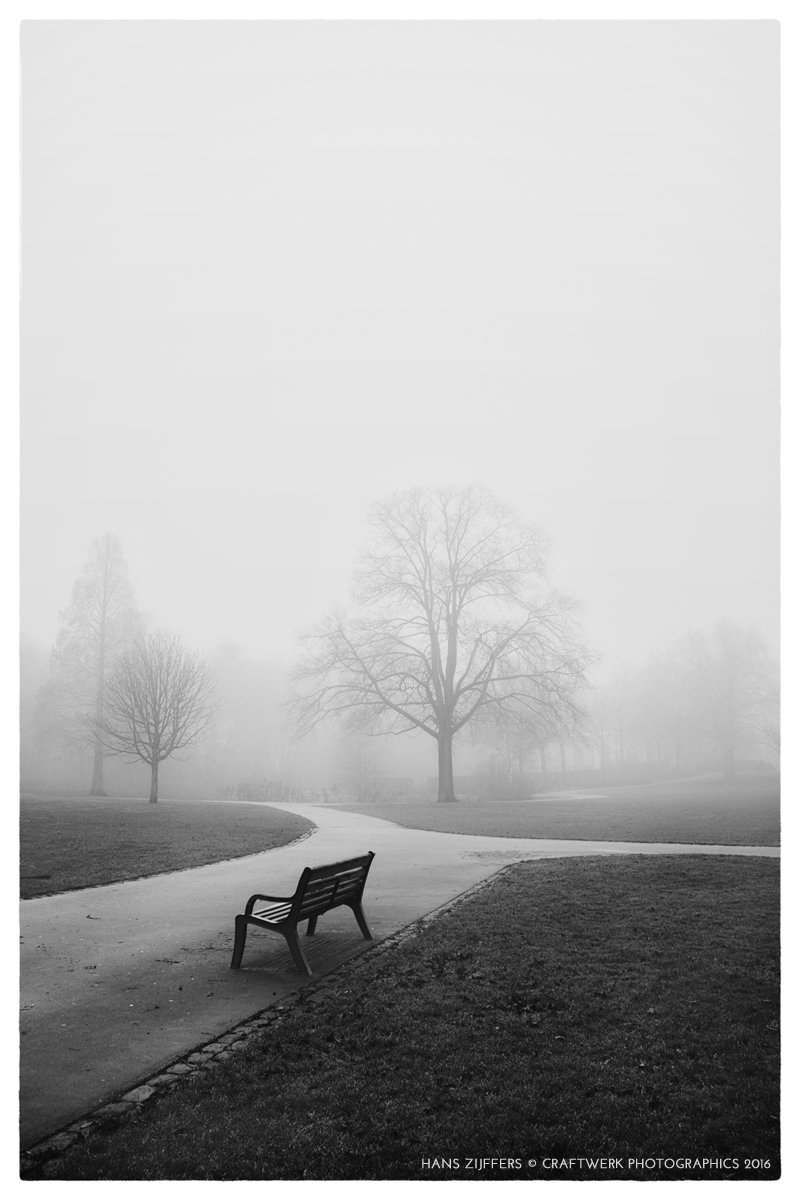 Craftwerkman's tweet photo. Uit de oude doos - "Misty City" (2016) #rotterdam #park #foto #mist https://t.co/A8cNbYVRoT