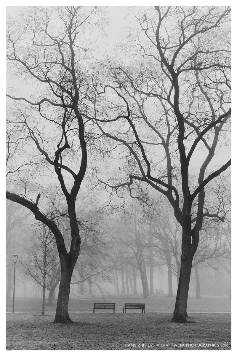 Craftwerkman's tweet photo. Uit de oude doos - "Misty City" (2016) #rotterdam #park #foto #mist https://t.co/A8cNbYVRoT
