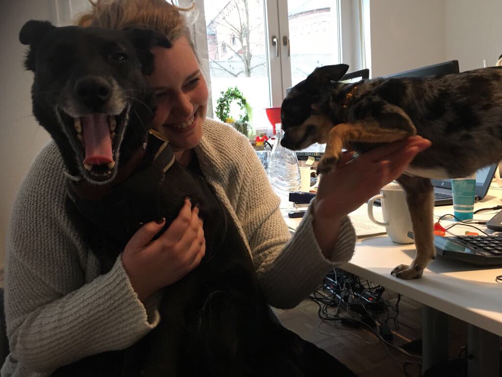 myTalentscoutde's tweet photo. Unsere #Bürohunde #Malu & #Pauli sorgen für unser Befinden 🌵#Seelenyoga #Seelencoach @MyTalentSarah genießt d spontane Päuschen #haveabreak https://t.co/9qlIIFECWM