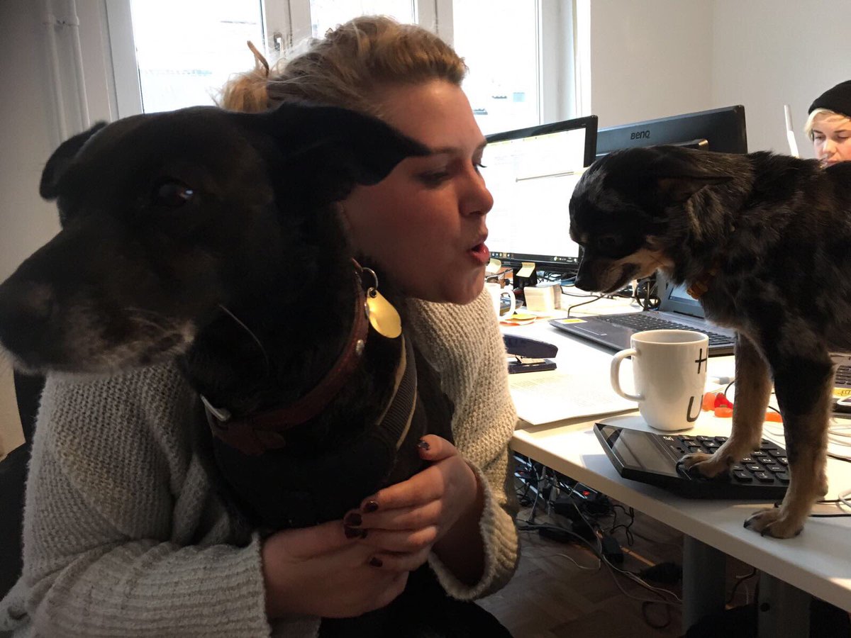 myTalentscoutde's tweet photo. Unsere #Bürohunde #Malu & #Pauli sorgen für unser Befinden 🌵#Seelenyoga #Seelencoach @MyTalentSarah genießt d spontane Päuschen #haveabreak https://t.co/9qlIIFECWM
