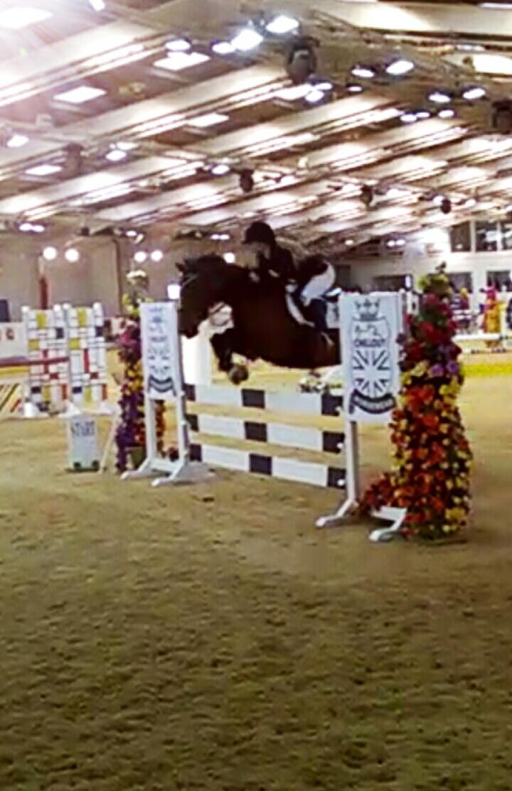 1 week and I will be home and back on this one ready for the 🌞🌞! <a href="/ChilloutHorsewr/">Chillout Horsewear</a> #grooming #sunshinetour🇪🇸