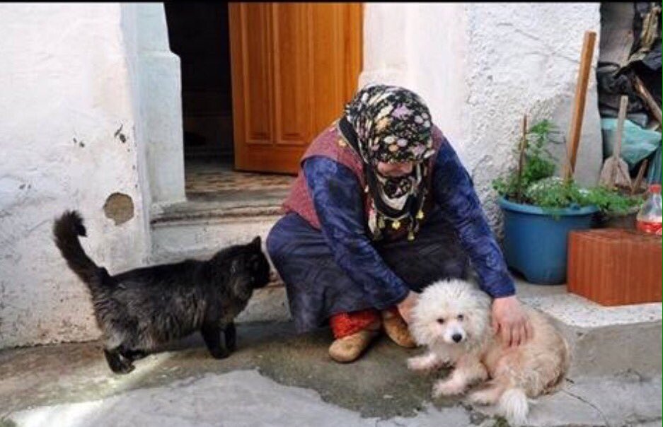 Efe_CumhurFatma's tweet photo. Dünyanın;
Sadece bize ait olmadığının farkında olan,hayvanları seven kollayan,gönlü güzel insanları seviyorum
#HAYIR lı günler can dostları☘ https://t.co/3llE7XwHbZ