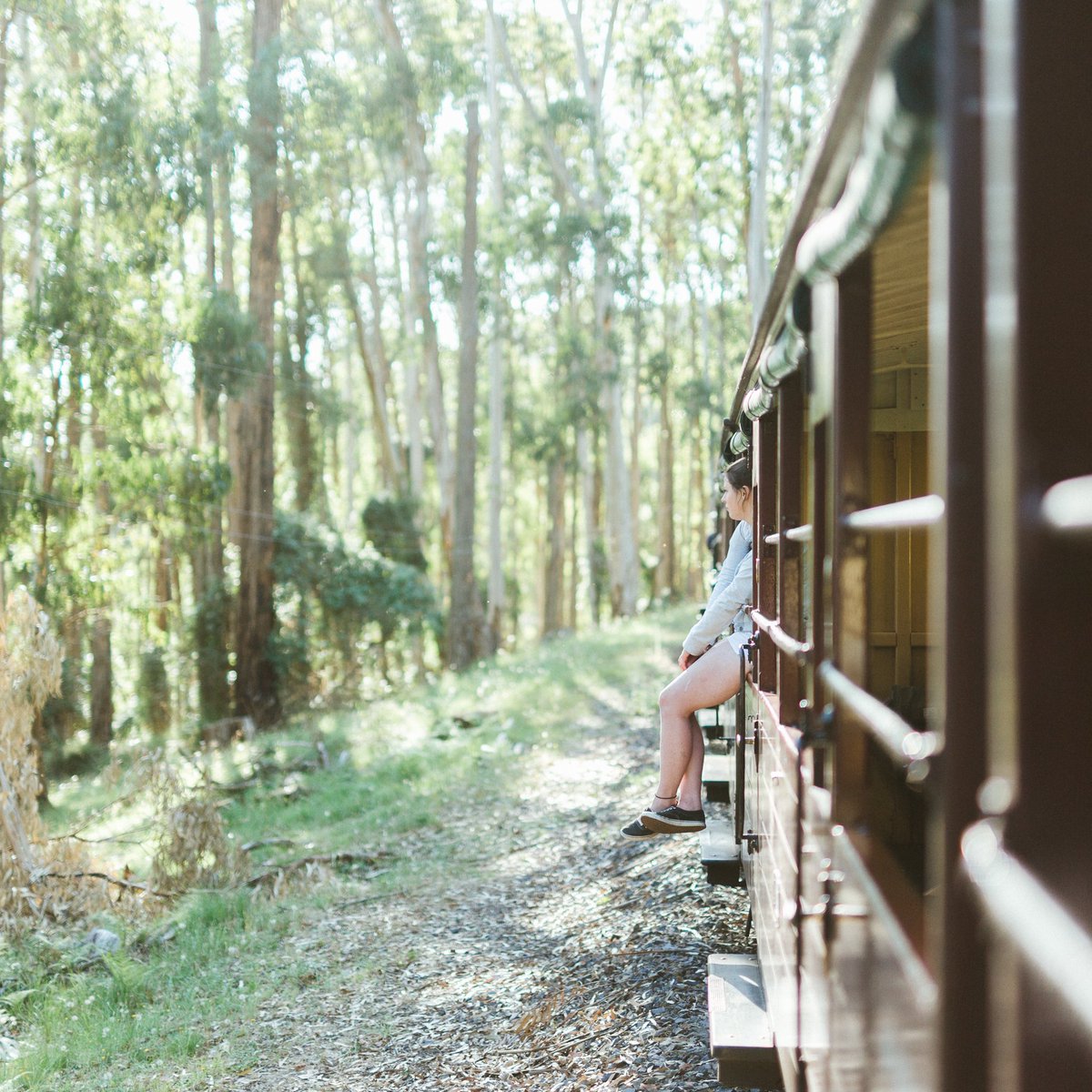 catzcrewz's tweet photo. รถไฟ Puffing Billy ไม่ไกลจากเมือง Melbourne ในประเทศ Australia

นั่งห้อยขาชมบรรยากาศอย่างชิล https://t.co/9q78xE3P2G