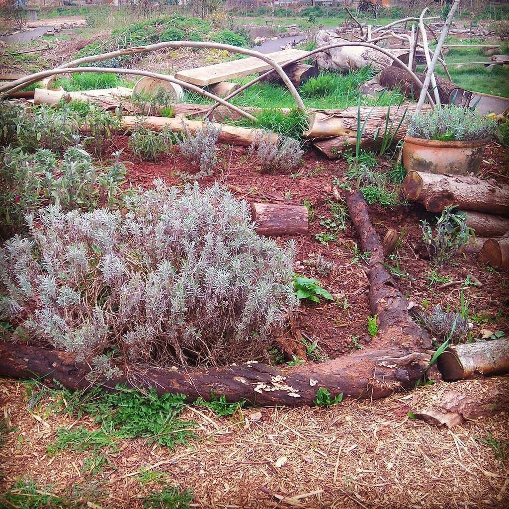NibleyLeaves's tweet photo. Medicinal Herb Garden at #feedbristol. Fantastic social media class with @saralimback #smmasterclass #midfields https://t.co/cUCEc1SxCc