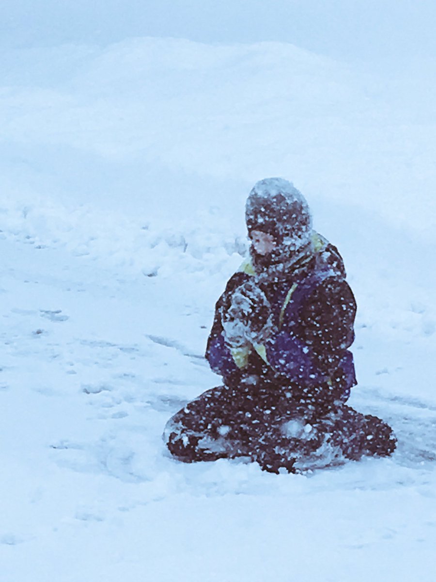 CharaDAuthor's tweet photo. We have had one heck of a snow week here. Blizzard 2017 hit 🏠=4 snow days.So much snow. 
Pray for Spring🙏🏻
#blizzard2017 #Stella #NeedSpring https://t.co/MImsg6lFdJ