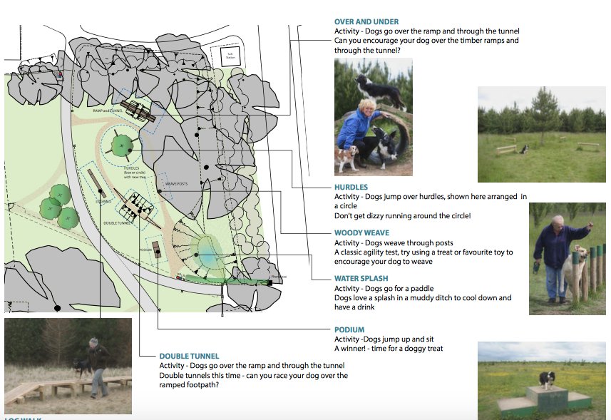 SWLondonDogs's tweet image. Take a look at this fantastic proposal from @newforestdc for a dog activity area.Is anything like this in #SWLondon? buff.ly/2mzZXKv