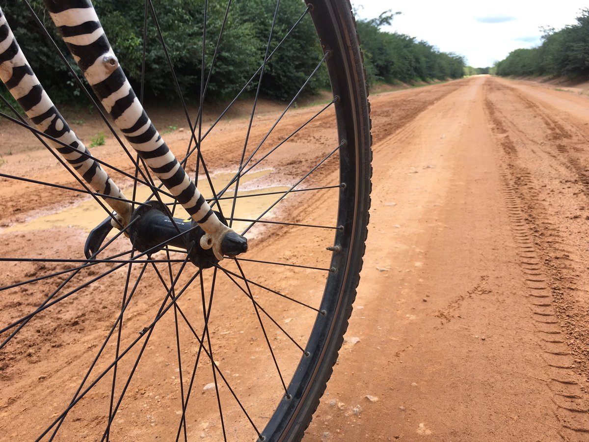 worldbicycling's tweet photo. Next 517 km to Mbeya from zebras view ...#dirt @TDA2017 @tdacycling #tanzania #singidatombeya #bushcamps #schoolcamps #bucketshower #zebra https://t.co/f9ItMnKBFj
