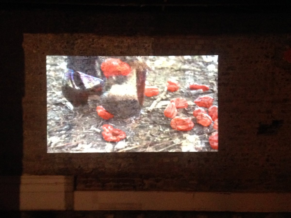 PartSuspended's tweet photo. We had a fantastic time performing &amp;showing our film work https://t.co/qGfBLLVMCd to the awesome event Solidarity NOT by The Purple Ladies https://t.co/HR23dHDDZ4