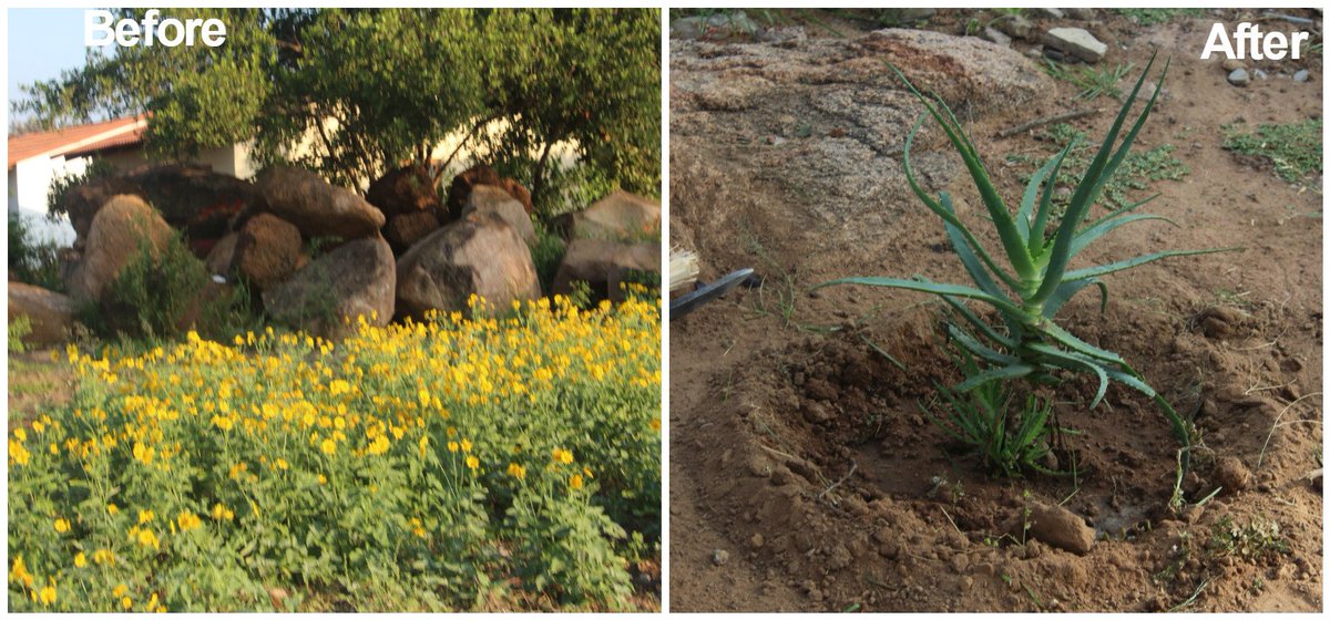 OP GIVES PHASE 4 PARK A FACE-LIFT: BEFORE &amp; AFTER

Staff yesterday refurbished the park as part of community service bit.ly/2mDaPat