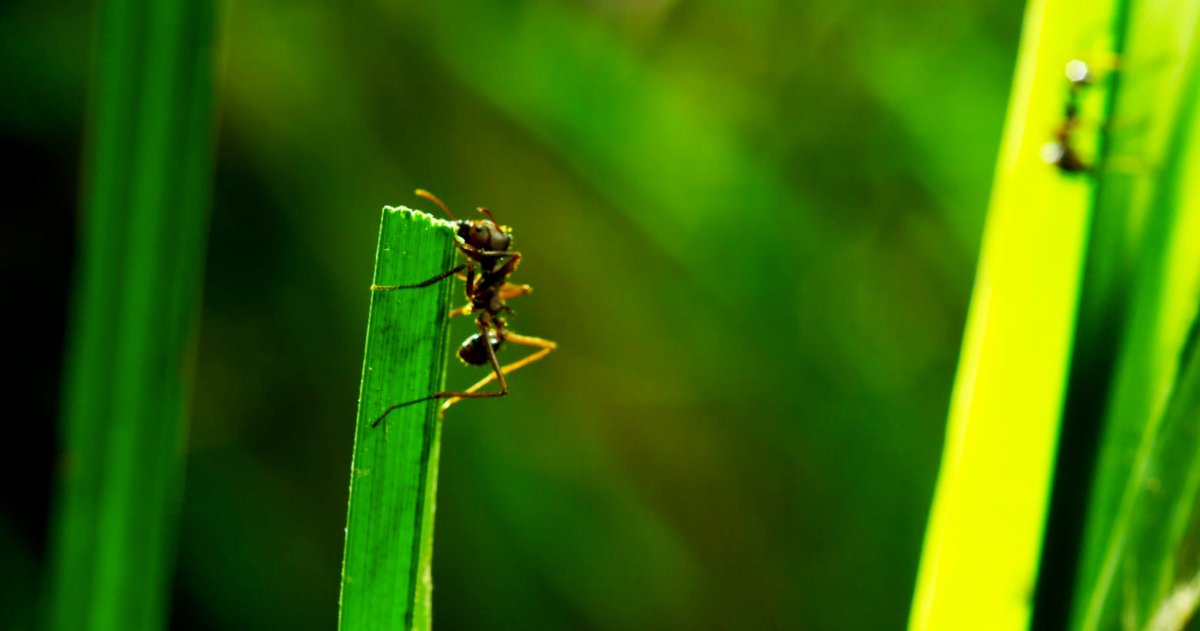 home313j10c's tweet image. How to Film at 40 Below Without Killing Your Camera—or Yourself dlvr.it/NfqkrL #Gadget_Lab