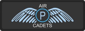 Congratulations to FS S Hopkins who has been selected for the Pilot Scheme for 2017. Fantastic news following FS Howells' selection in 2016.