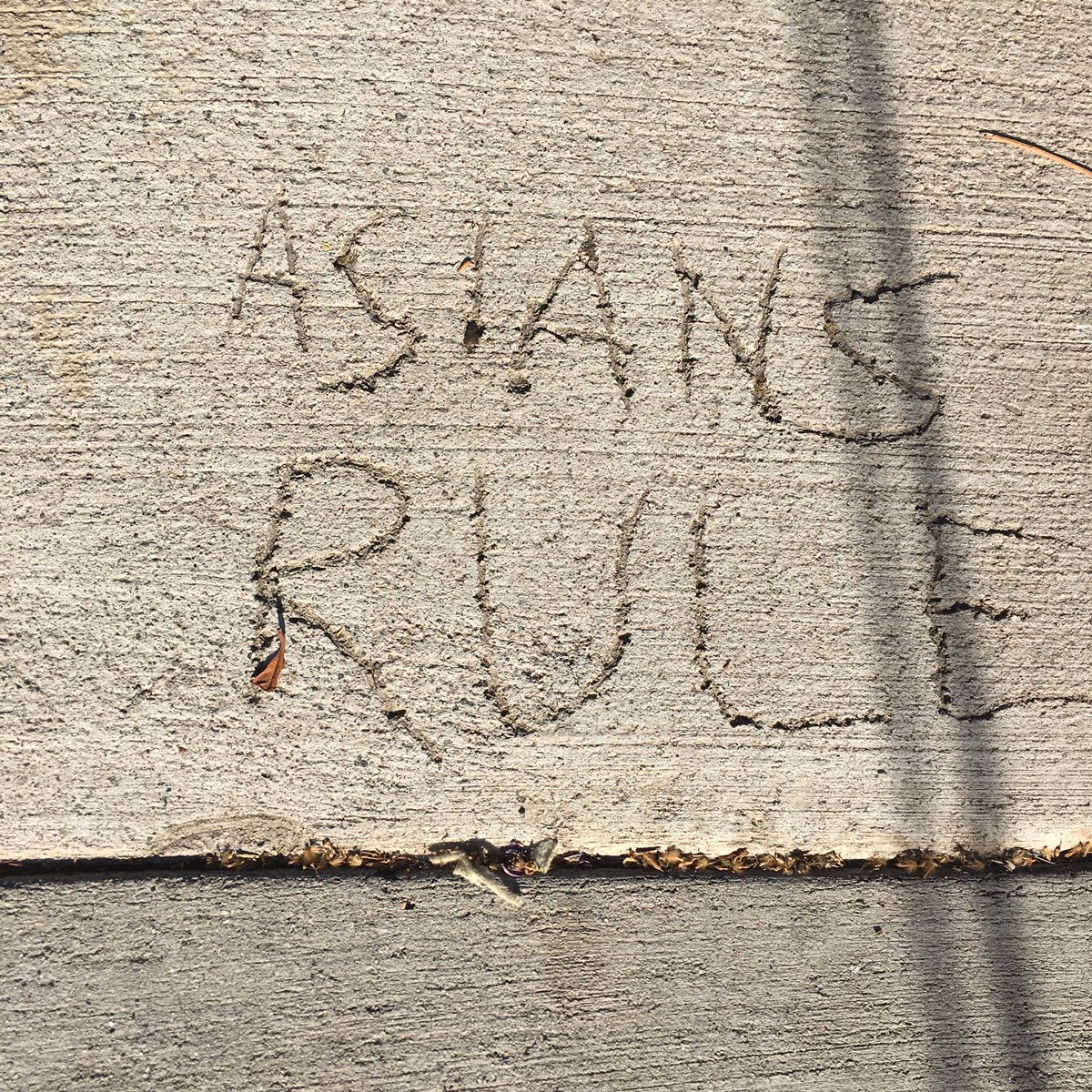 JulietteLewis's tweet photo. Found this sign on the sidwalk. It rules! 🙏🏼😂 #asiansrule #signs https://t.co/X9wky7Mv7t