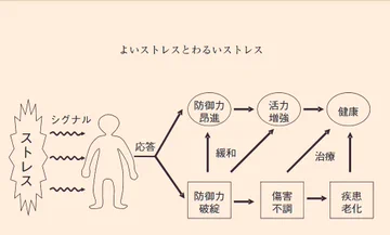 画像 / Picture