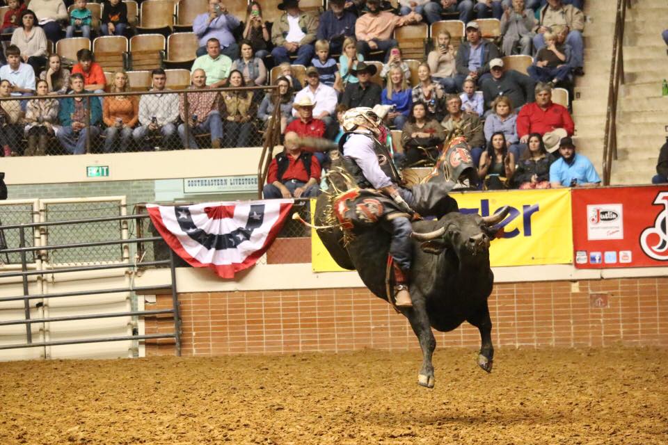 SLERodeo's tweet image. We're doubling up on performances today at the #SLERodeo17. Come watch a great show at 2pm AND 7pm. We'll see you there!