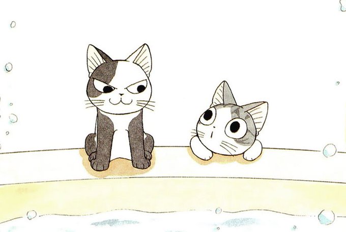 今日のこねこのチーのtwitterイラスト検索結果 今日のこねこのチーのtwitterイラスト検索結果