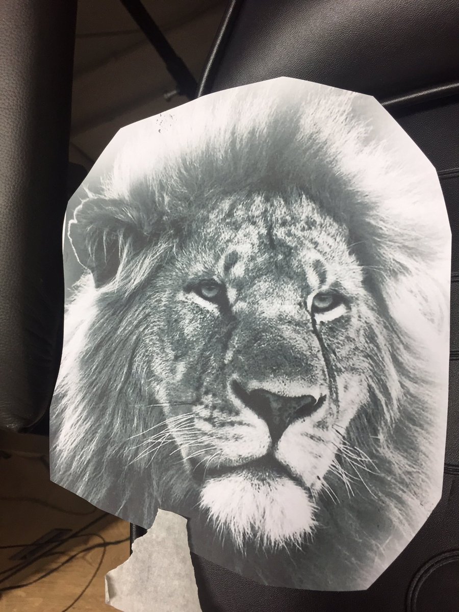 Scott_Justink's tweet photo. Amazing lion piece today on the chest area, not comfortable but this guys a trooper! @Adam_Russ89 currently half way through https://t.co/cYLFJBcWfG